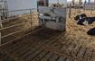 Image sur ABREUVOIR INOX 1,90m