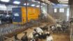 Image sur Pailleuse gros volume pour bottes cubiques